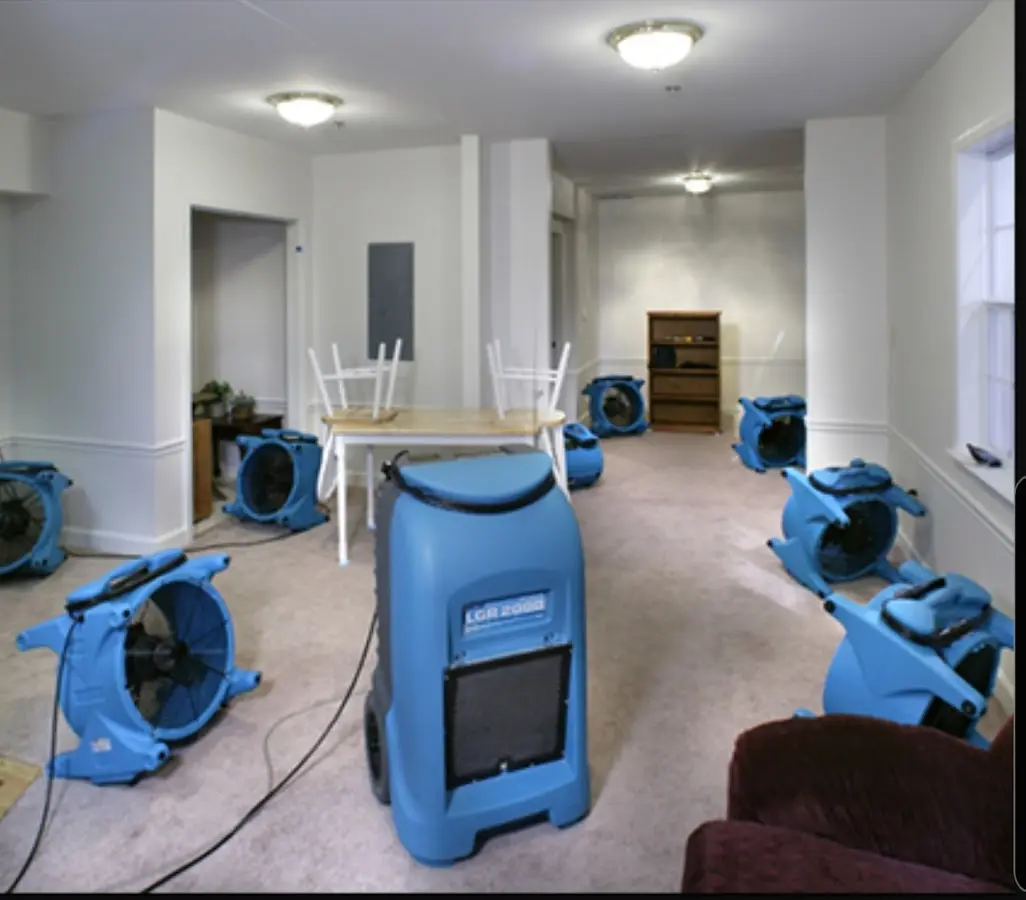 Air movers and dehumidifier setup for Water Extraction & Removal in Woodland