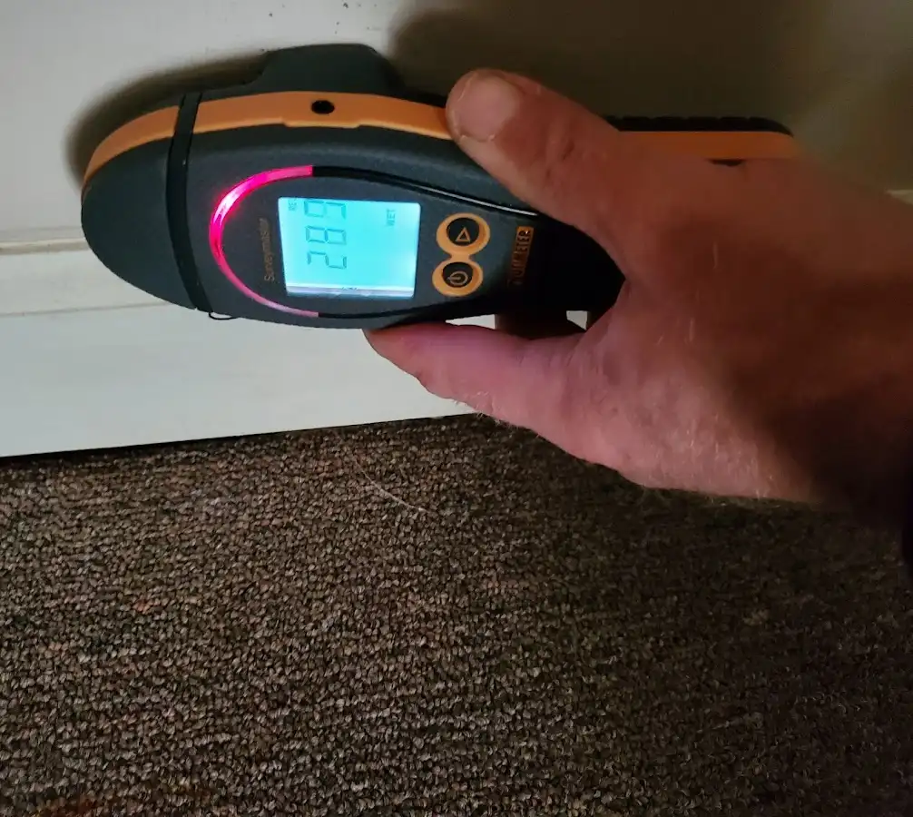 Moisture detection at baseboard during Sewage Cleanup & Sanitation in Woodland